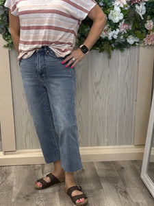 Judy Blue high waist straight crop light wash